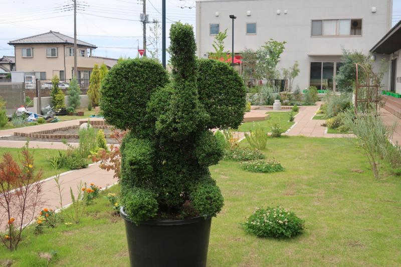 ぞう.JPG
