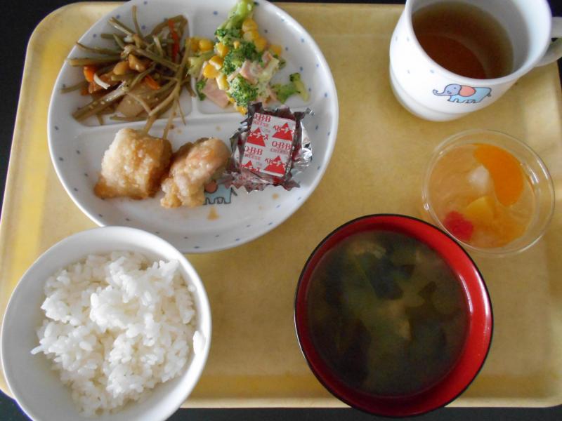 DSCN0046.JPG