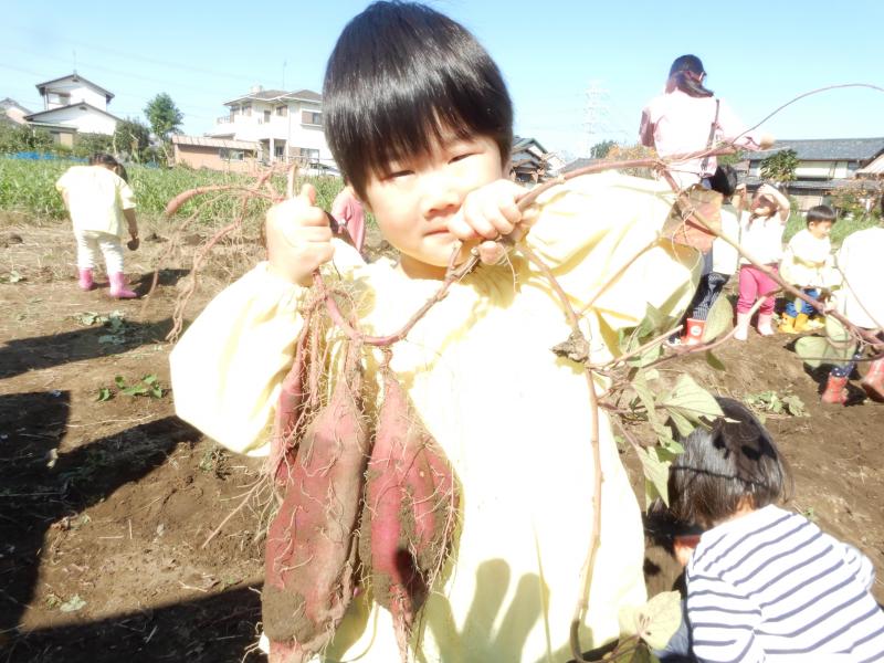 DSCN9552.JPG