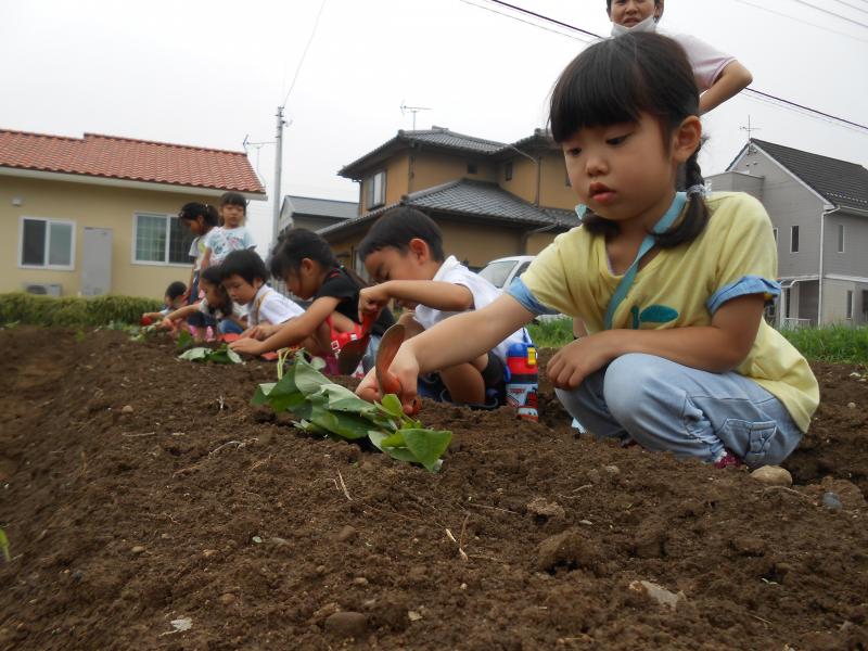 DSCN7099.JPG